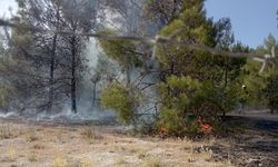 Şanlıurfa'da alevler ormana sıçradı!