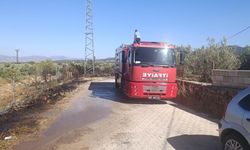 Gaziantep'te zeytinlik yangını!