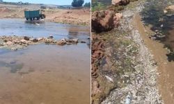 Gaziantep’te toplu balık ölümleri yeninde gündemde! Karasu Çayı’nda neler oluyor?