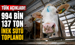 TÜİK açıkladı! 994 bin 137 ton inek sütü toplandı