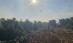 Gaziantep'te orman yangınına havadan ve karadan müdahale! 2 hektarlık alan zarar gördü