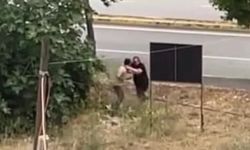 Amcasını palayla öldürdü