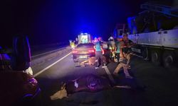 Otomobil ineklere çarptı: Yaralılar var