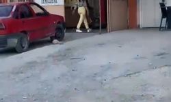 Çekiçli kadın öfkesini böyle kustu! (VİDEO HABER)