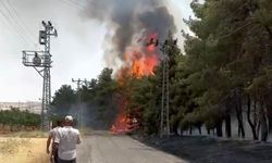 Gaziantep’te korkutan orman yangını! Ekipler müdahale etti