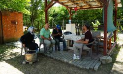 Kastamonu’da köye inen ayı paniğe neden oldu!
