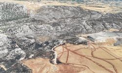 Gaziantep’ten itfaiye ekipleri sevk edilmişti! Adıyaman'daki orman yangını söndürüldü