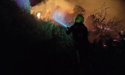 Orman yangınına müdahale sürüyor: 450 hektarlık alan etkilendi