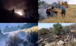 Gaziantep’te fıstıklık ve otluk alanda yangın