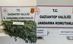 Gaziantep’te yasadışı kenevir ekimine jandarma operasyonu