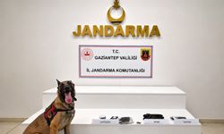 Gaziantep zehir tacirlerine dev operasyon! 70 şüpheli yakalandı