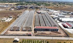 İranlı iş insanından Türkiye'ye 100 milyon dolarlık dev sanayi yatırımı