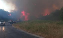Çanakkale'de orman yangını