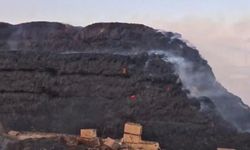 Gaziantep'te korkutan yangın! Binlerce dönüm arazi kül oldu