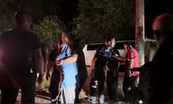 Osmaniye'de sumak toplamak için evinden çıkmıştı! Yaşlı kadından acı haber!