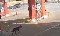 Gaziantep’teki silahlı kavganın görüntüleri ortaya çıktı! O anlar kan dondurdu…