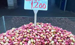 Antepfıstığı tezgahlardaki yerini aldı! Kilogramı 1200 TL…