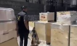 Gaziantep’te uluslararası zehir kaçakçılarına MİT ve Emniyetten dev operasyon!