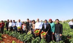 Gaziantep’te hasat sevinci! Tahmazoğlu üreticilerle buluştu