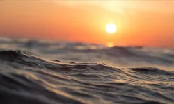 Küresel okyanus sıcaklıkları rekor seviyeye ulaştı!