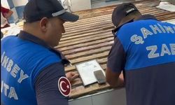 Gaziantep’te ekipleri hayrete düşüren savunma! İki böcekten ne olacak?