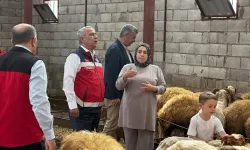 Gaziantep’te "Kırsalda Bereket" projeleri kapsamında hayvan teslimatları sürüyor