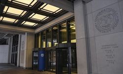 IMF'den merkez bankalarına tavsiye