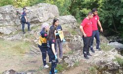 Koyun otlatmak için araziye çıkmışlardı! İki kardeş her yerde aranıyor