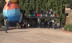 Gaziantep'te ‘Yırtıcı Adası' heyecanı