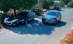 Otomobiliyle köpeklerin üzerinden geçti! O anlar kamerada…