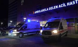 Feci kaza! Tır ile hafif ticari araç kafa kafaya çarpıştı! 2 ölü, 1 yaralı