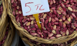 Antepfıstığını tezgâhta görenler şoku yaşadı: 5 TL!