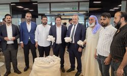 Şanlıurfa’da sezonun ilk pamuğu ihaleyle satıldı