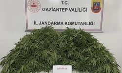 Gaziantep’te jandarma suçlulara göz açtırmıyor