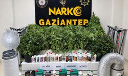 Gaziantep’te zehir tacirlerine aman yok! Binlerce zehir taciri yakalandı