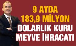 9 ayda 183,9 milyon dolarlık kuru meyve ihracatı