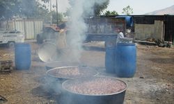 Gaziantep'te pekmez mesaisi başladı