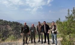 Gaziantep'te geyik popülasyonu için envanter çalışması yapılıyor