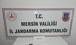 Tarihi eser kaçakçısı yakayı ele verdi