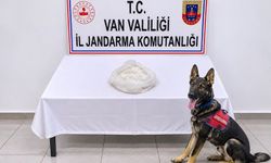 Yolcunun çantasından çıkanlar şok etti