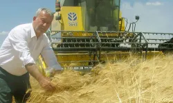 Araban Ovası tarih boyunca imparatorlukları besledi! Çok sayıda ürün yetiştiriliyor