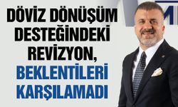 Döviz dönüşüm desteğindeki revizyon, beklentileri karşılamadı