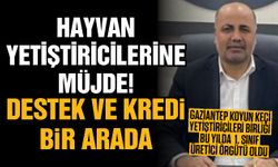 Gaziantepli hayvancılara müjde! Destek ve kredi bir arada