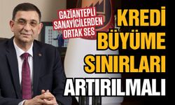 Gaziantepli sanayicilerden ortak ses! Kredi büyüme sınırları artırılmalı
