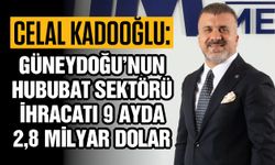 Güneydoğu’nun hububat sektörü ihracatı 9 ayda 2,8 milyar dolar