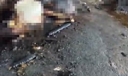 Ahır yangını faciayla sonuçlandı! 24 büyükbaş hayvan telef oldu
