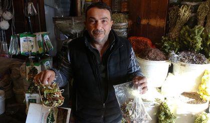 Gaziantep'te şifa arayanlar aktarlarda yoğunluk oluşturdu! Satışlar arttı