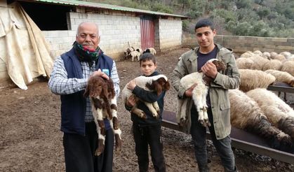 Gaziantep'te depremzede besici devlet desteğiyle hayata tutundu!