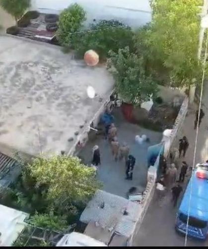 Jandarmanın "Daltonlar" çetesi operasyonunda 3 tutuklama