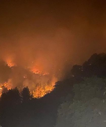 Mersin'de iki ilçede orman yangınları sürüyor